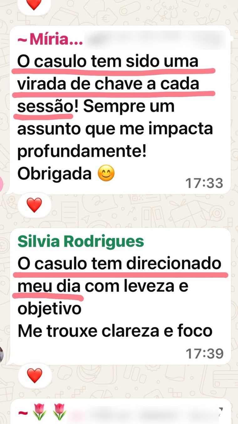 Depoimento de aluna do CASULO