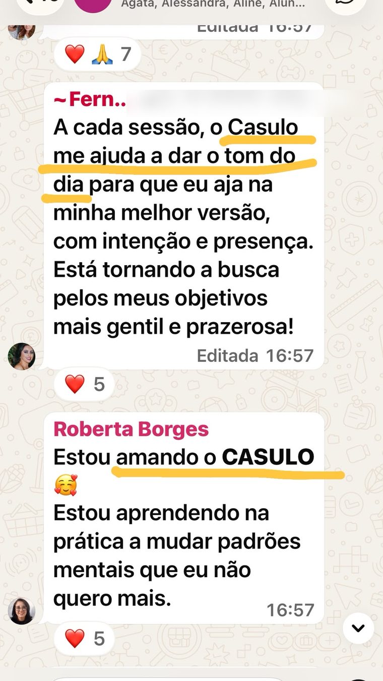 Depoimentos de alunas do CASULO